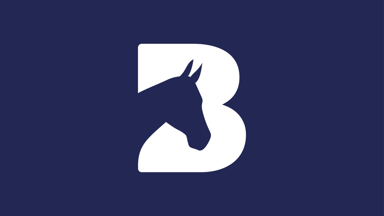Bransby Horses Charity Logo